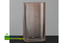 Bình thủy tinh cắm hoa sọc tím