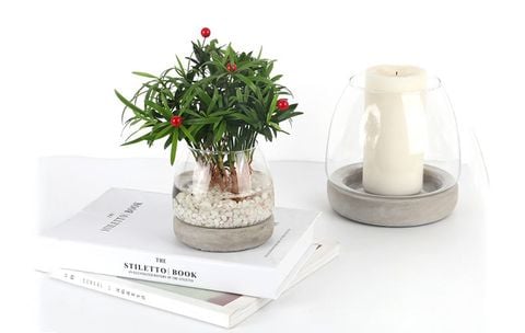 binh-thuy-tinh-de-xi-mang-cam-hoa