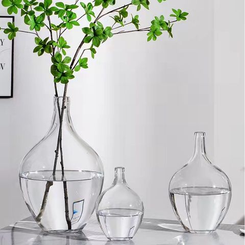 Bình thủy tinh Elipse