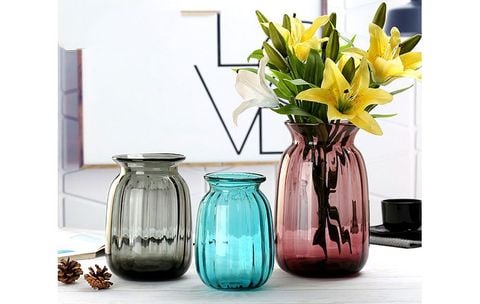 binh-thuy-tinh-van-soc-mieng-loe