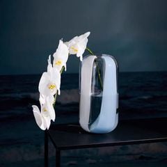 Bình thuỷ tinh vân sọc trắng Bắc Âu