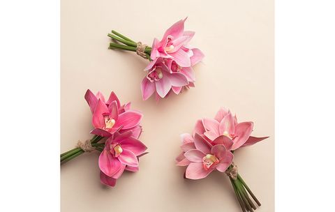 bo-hoa-dia-lan-gia-trang-tri