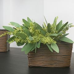 Bó lá bạch đàn giả có hoa