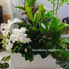 Bồn cây hoa giả trang trí văn phòng TC003