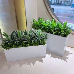 Hộp cây lưỡi hổ giả trang trí hiện đại