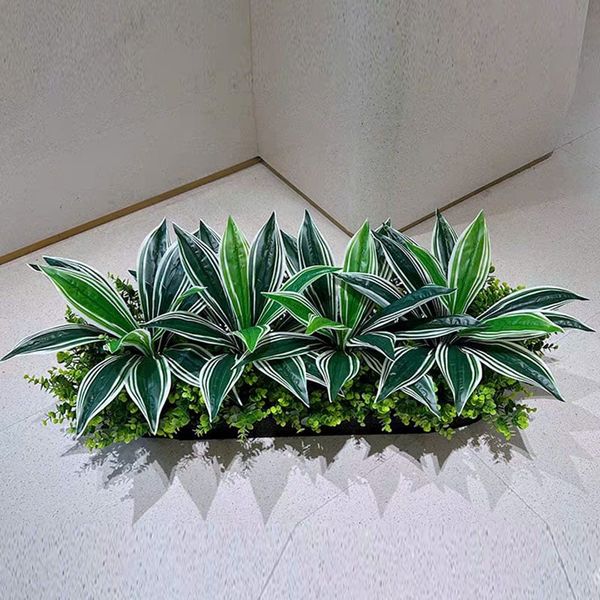 Hộp cây lưỡi hổ giả trang trí hiện đại