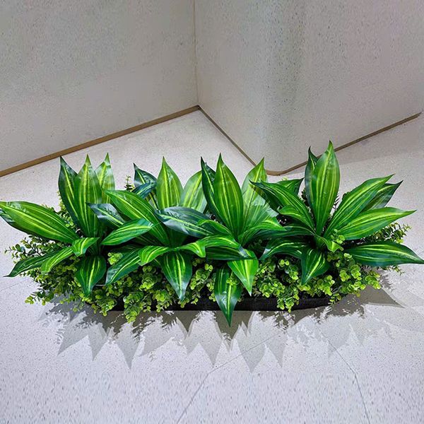 Hộp cây lưỡi hổ giả trang trí hiện đại