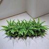 Hộp cây lưỡi hổ giả trang trí hiện đại