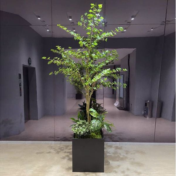 Cây thạch nam giả cao 250 cm hiện đại