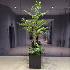 Cây thạch nam giả cao 250 cm hiện đại