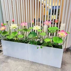 Bồn hoa sen giả trang trí nghệ thuật