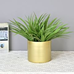 Bụi cỏ lan thảo giả trang trí