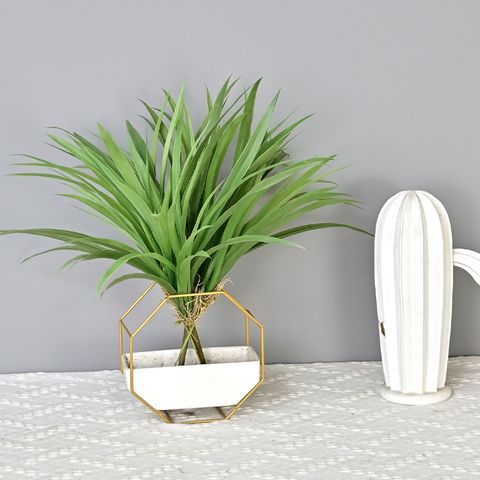 Bụi cỏ lan thảo giả trang trí