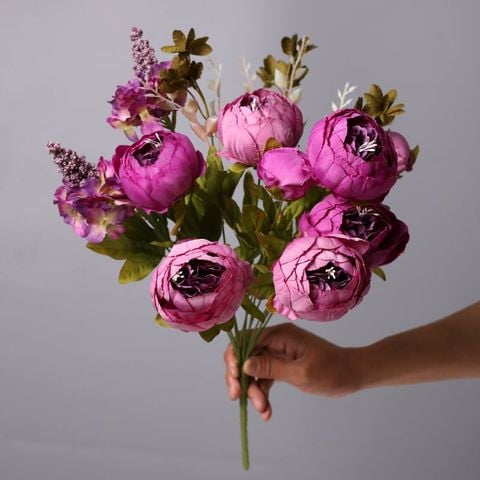 Hoa mẫu đơn vải