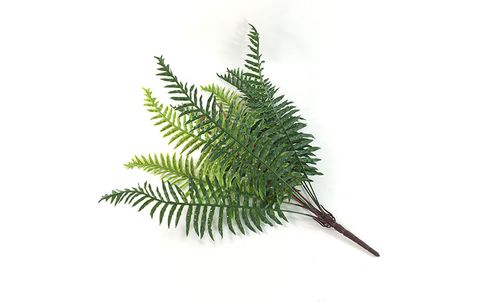 bui-la-duong-xi-khong-tuoc-gia-trang-tri