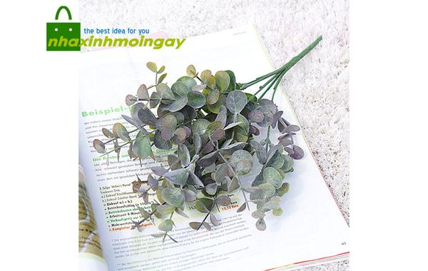 Bụi lá tai chuột thân ngắn