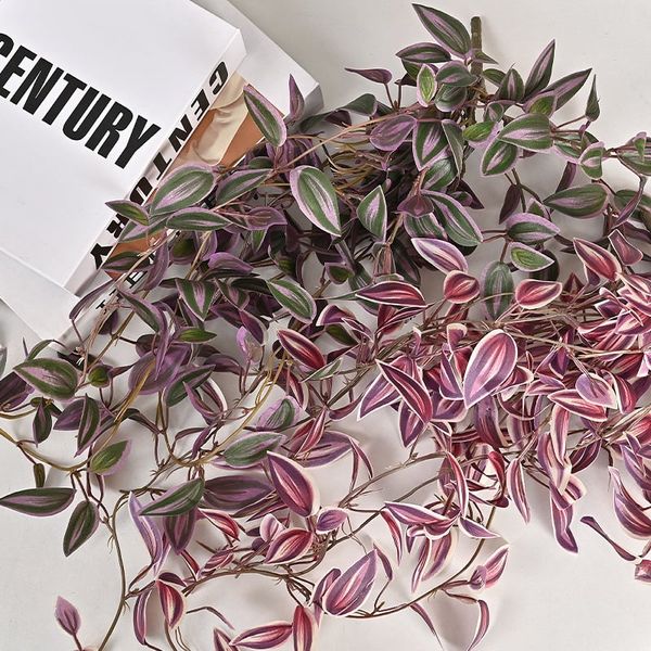 Bụi lá thài lài rũ trang trí