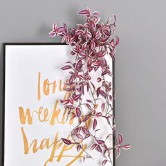 Bụi lá thài lài rũ trang trí