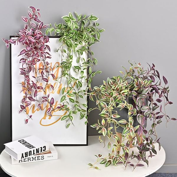 Bụi lá thài lài rũ trang trí