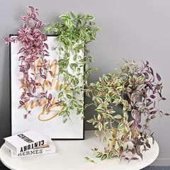 Bụi lá thài lài rũ trang trí