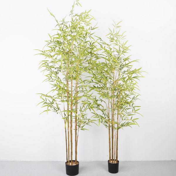 Bụi trúc giả thân vàng trang trí