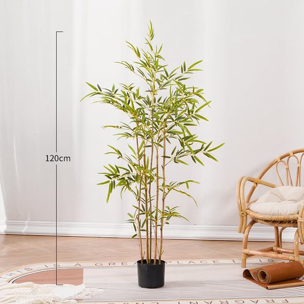 Bụi trúc giả thân vàng trang trí