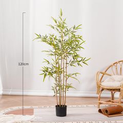 Bụi trúc giả thân vàng trang trí