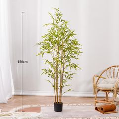 Bụi trúc giả thân vàng trang trí