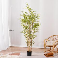 Bụi trúc giả thân vàng trang trí