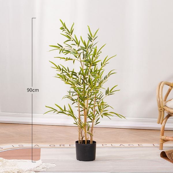 Bụi trúc giả thân vàng trang trí