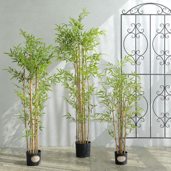 Bụi trúc giả thân vàng trang trí