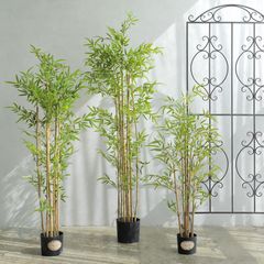 Bụi trúc giả thân vàng trang trí