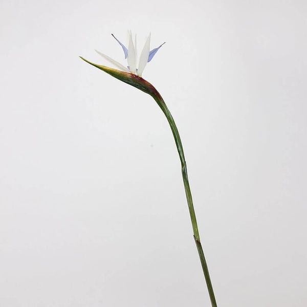 Cành hoa thiên điểu giả cao cấp trang trí trong nhà