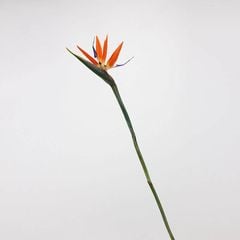 Cành hoa thiên điểu giả cao cấp trang trí trong nhà