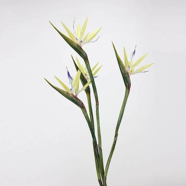 Cành hoa thiên điểu giả cao cấp trang trí trong nhà