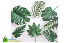 Cành lá lẻ INS trang trí bắc âu