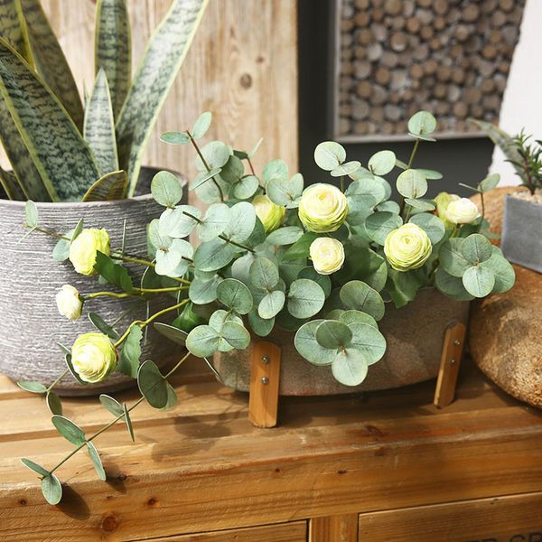 Cành khuynh diệp lá tròn trang trí