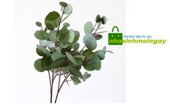 Cành lá eucalyptus kim tiền nhựa mềm