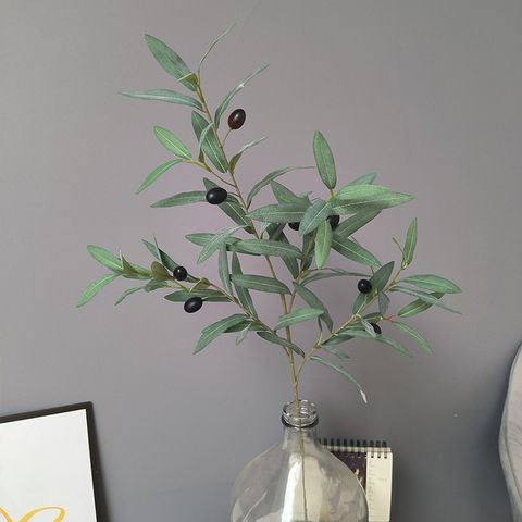 Cành ô liu pháp giả trang trí