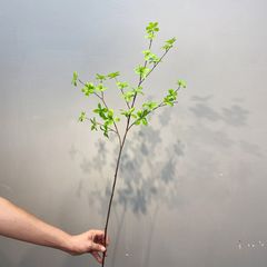 Cành lá thạch nam giả trang trí TN01