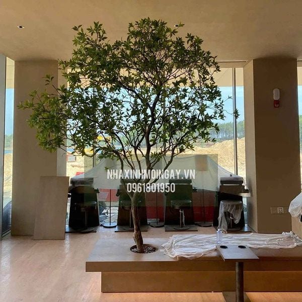 Cây Asebi giả trang trí cao 3 mét
