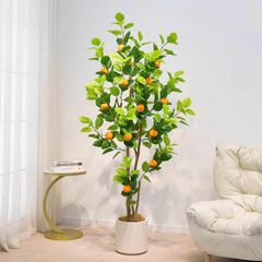 Cây cam giả trang trí