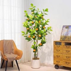 Cây cam giả trang trí