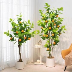 Cây cam giả trang trí