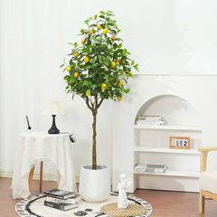 Cây chanh trái vàng giả trang trí