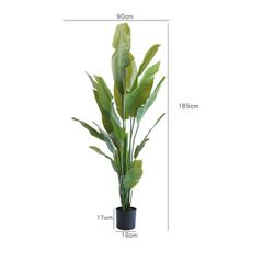 Cây chuối cảnh giả trang trí phòng khách