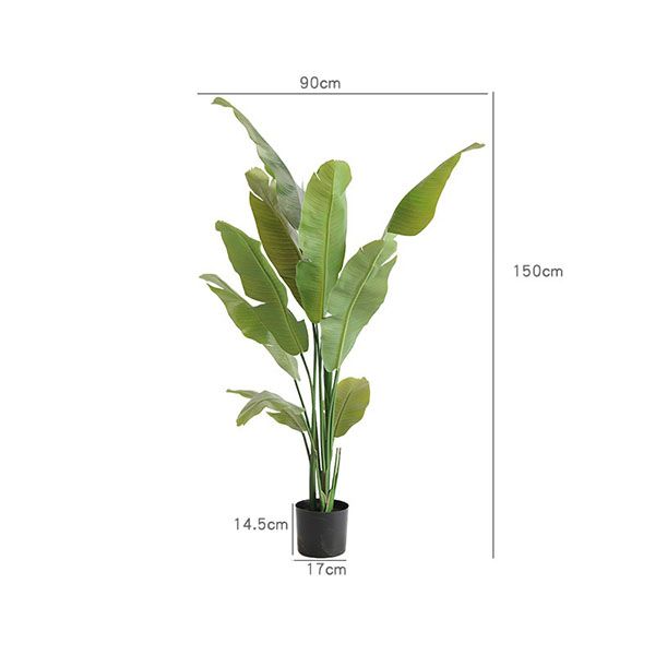 Cây chuối cảnh giả trang trí phòng khách