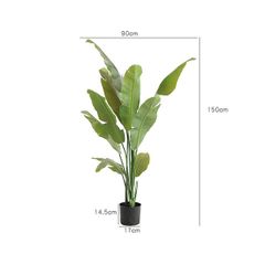 Cây chuối cảnh giả trang trí phòng khách