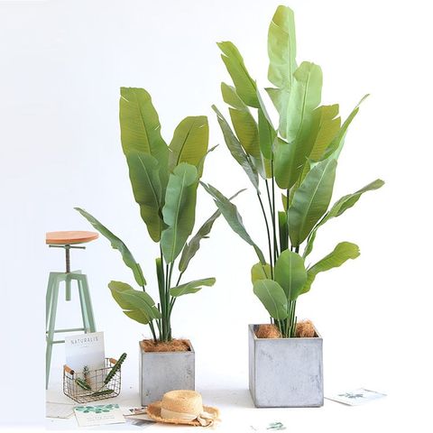 cây chuối cảnh giả trang trí phòng khách