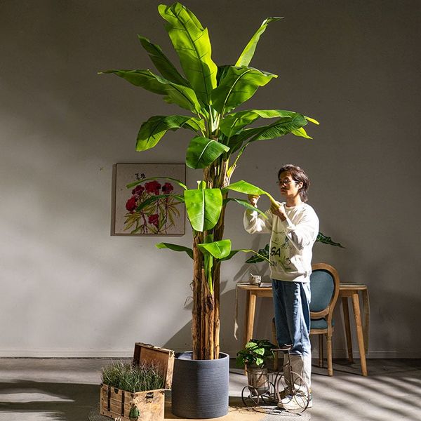 Cây chuối kiểng giả trang trí nội thất